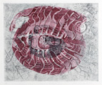 Grafiken_Iris_020