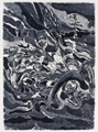 Grafiken_Iris_030